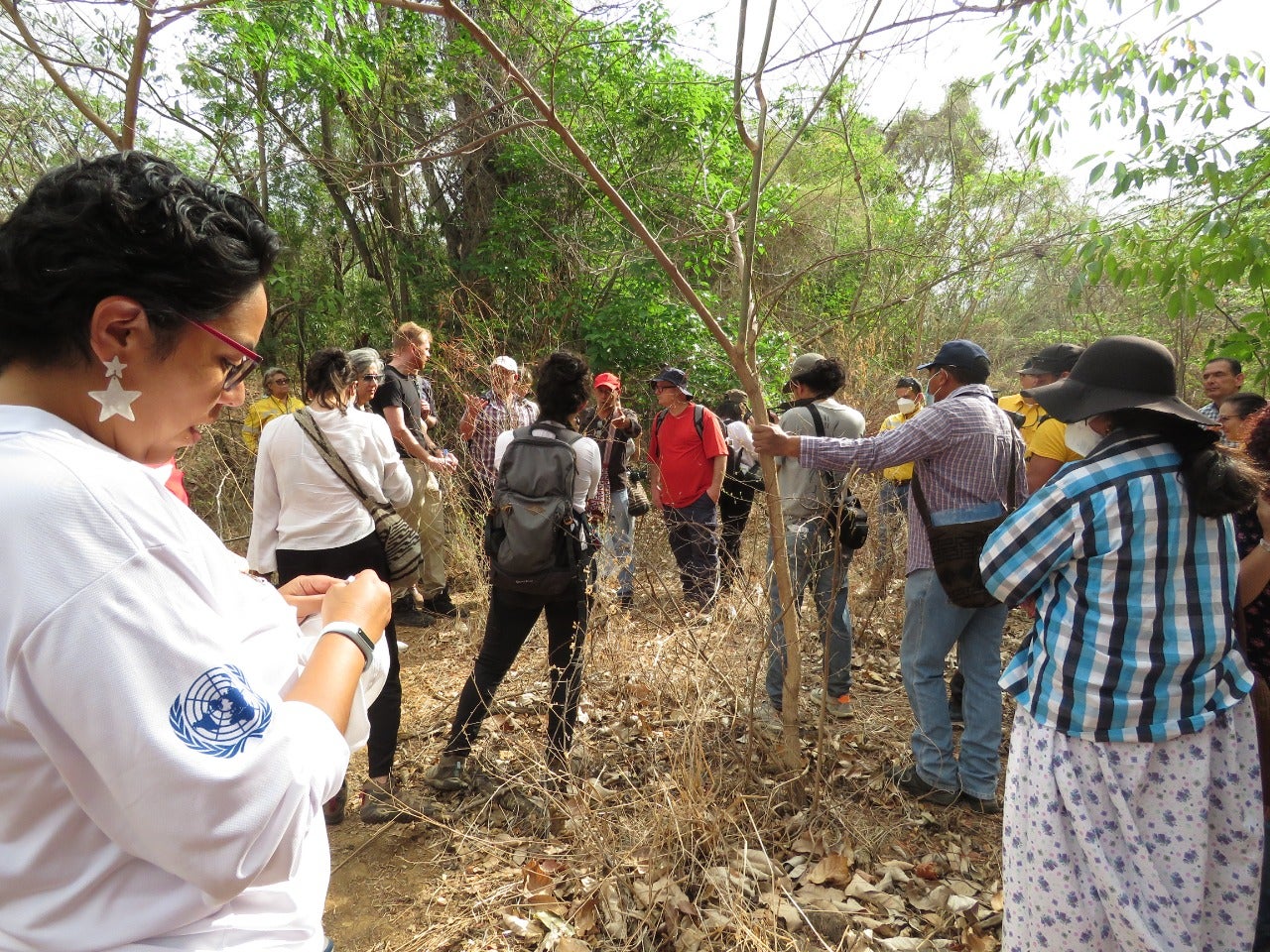 Hicieron un llamado urgente a la Corte Constitucional a proteger los derechos de las comunidades Wayuu