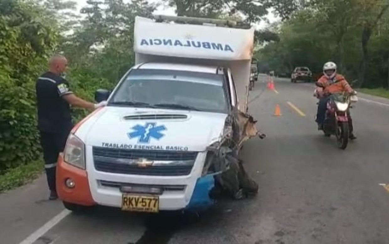 Según versiones, al parecer, el carro color azul, invadió el carril contrario chocando con la ambulancia y posteriormente colisionó contra un árbol.