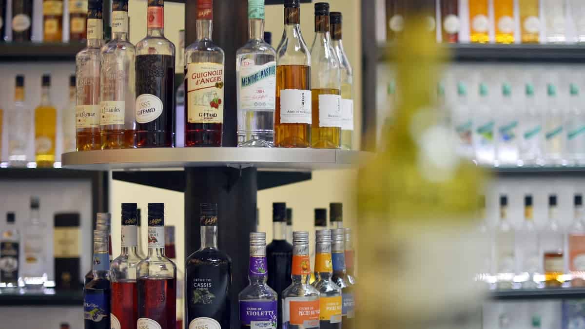¡Atención! Distrito de Barranquilla decreta ley seca durante fin de semana por elecciones 2022