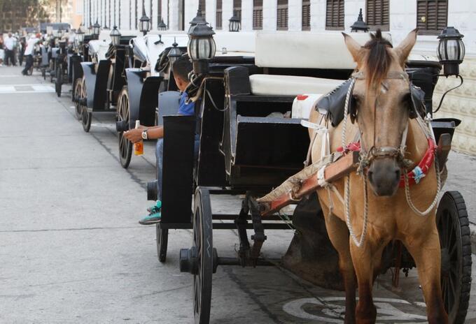 Vehículos de Tracción animal en Cartagena