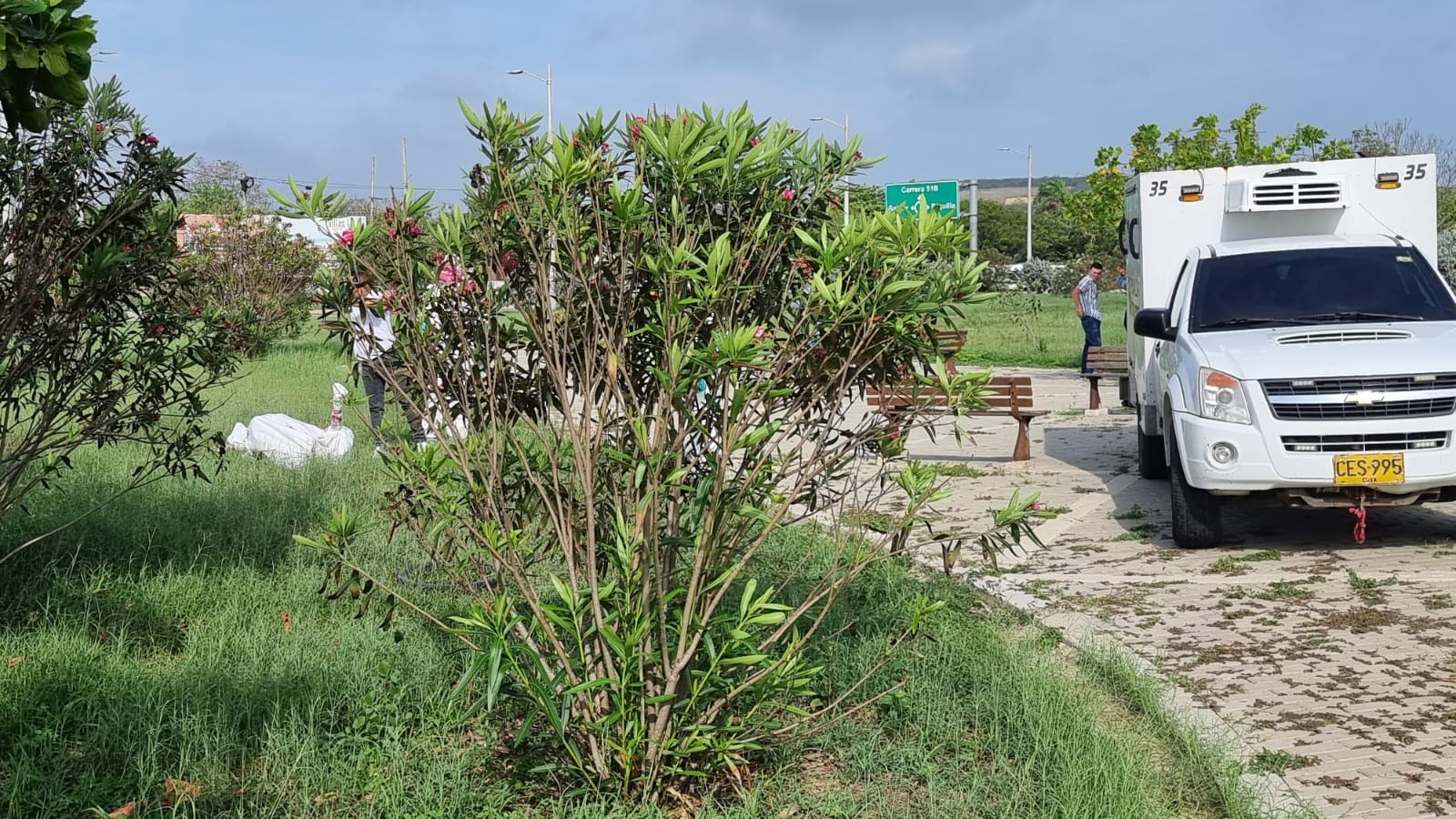 Diligencias de levantamiento del cadáver.