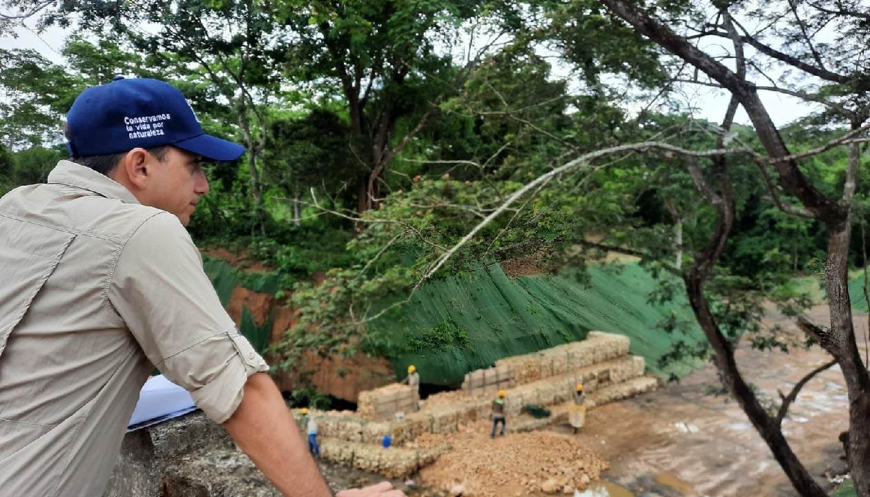 Hoy es Día Mundial del Medio Ambiente