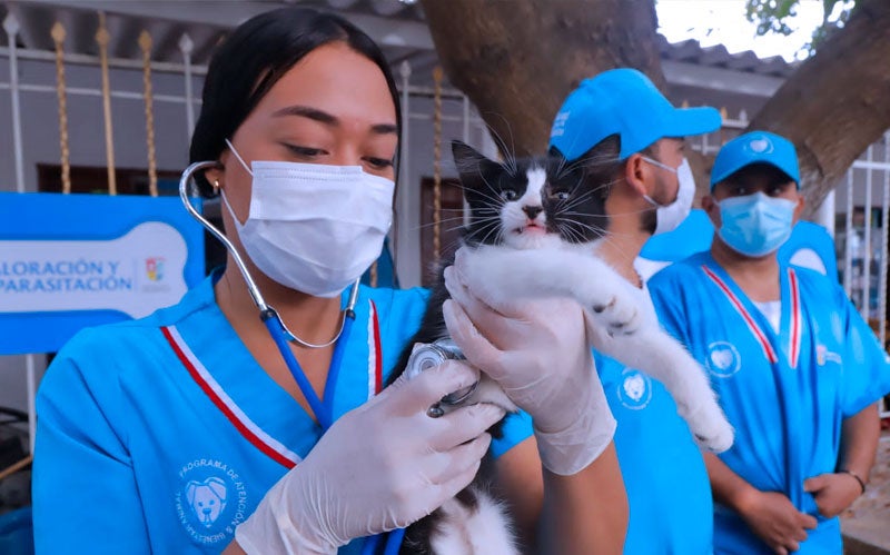 Bienestar Animal Atlántico