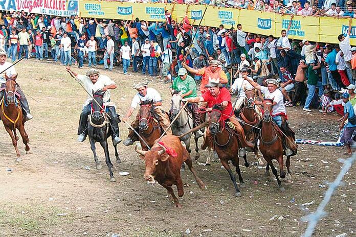 Imagen de referencia