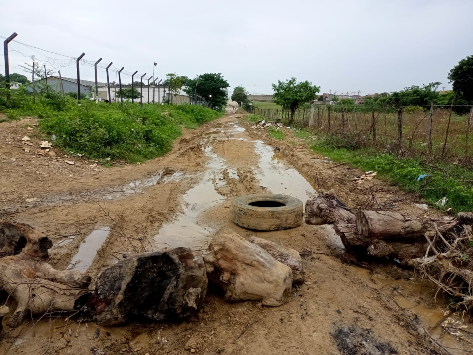 Así está la vía principal de la zona