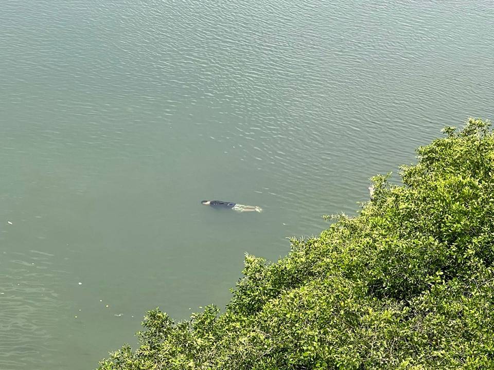 Kevin Valdés Yépez, de 18 años de edad. Fallecido