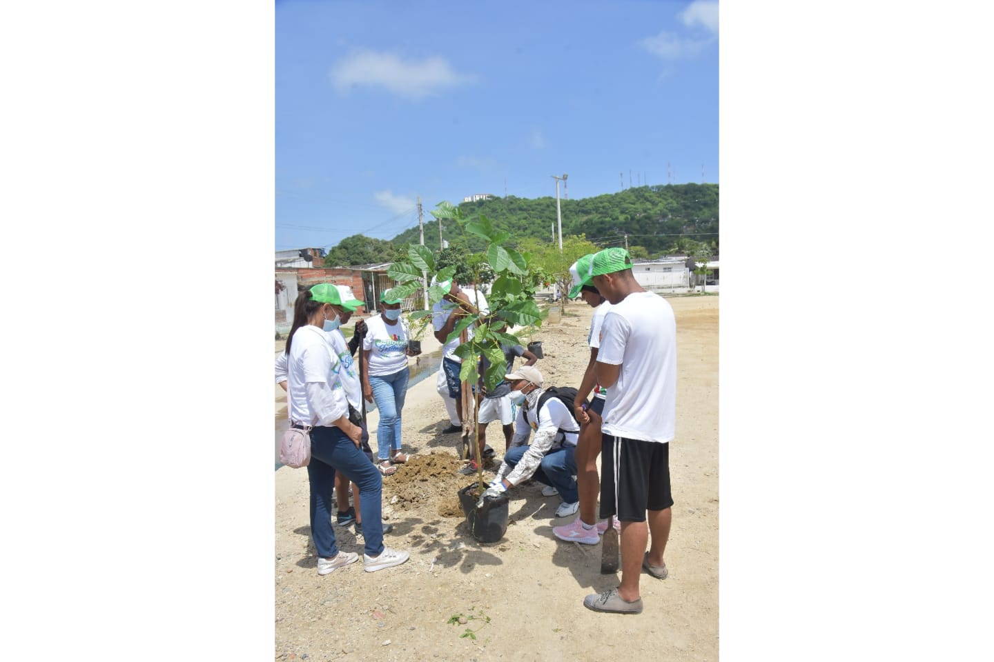 Bosques en Cartagena