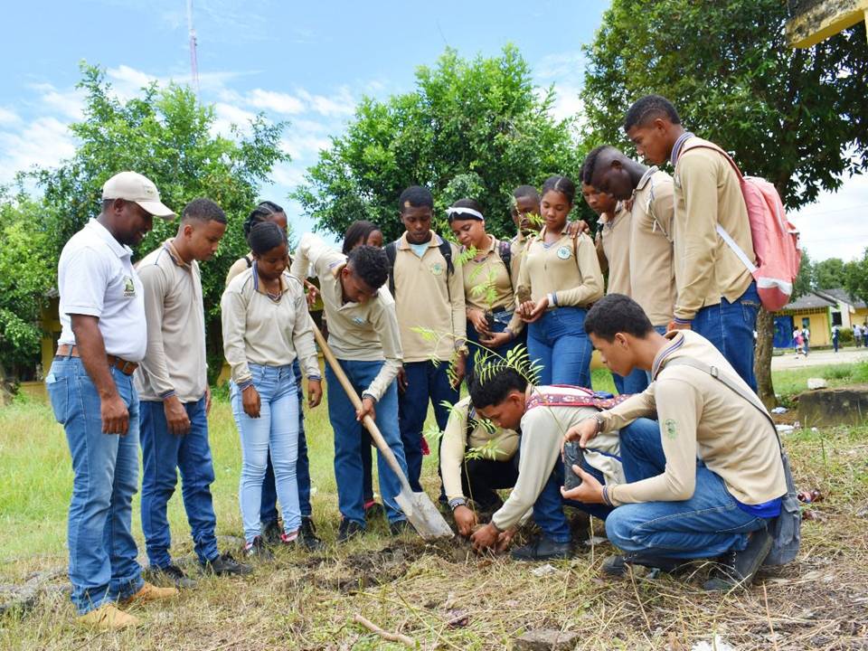 Los árboles sembrados son maderables y frutales para reforestar los ambientes escolares