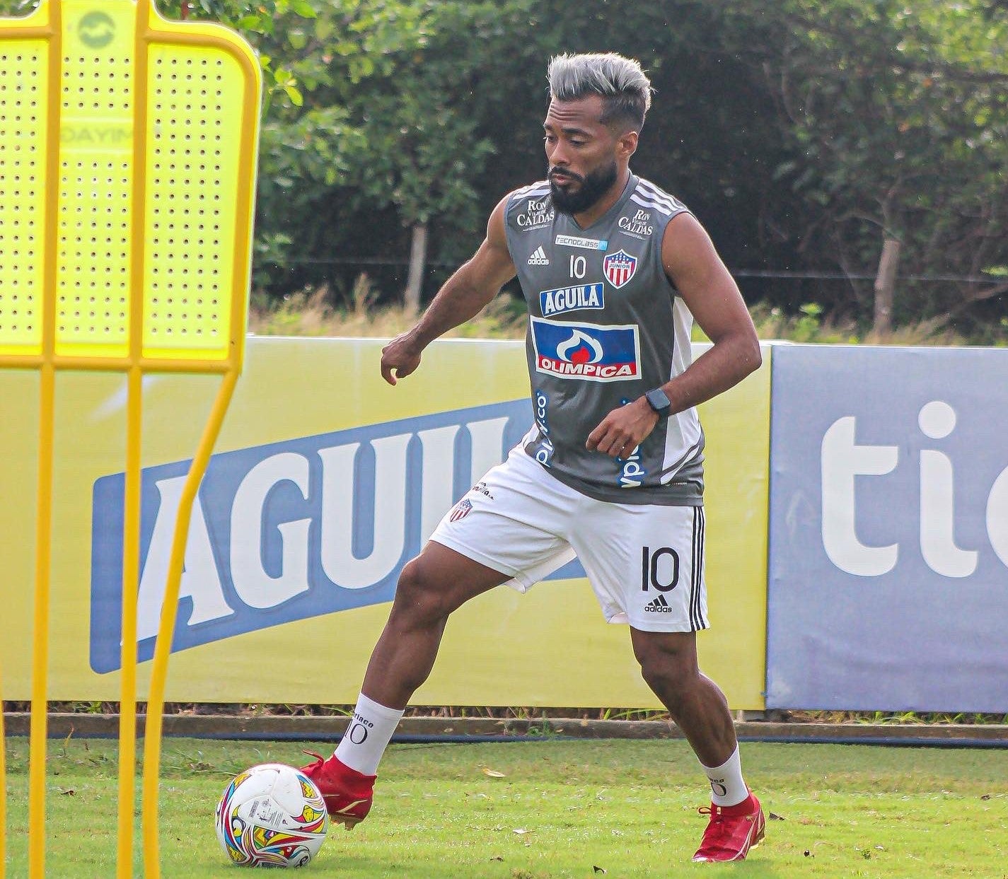 LUIS CARIACO GONZALEZ