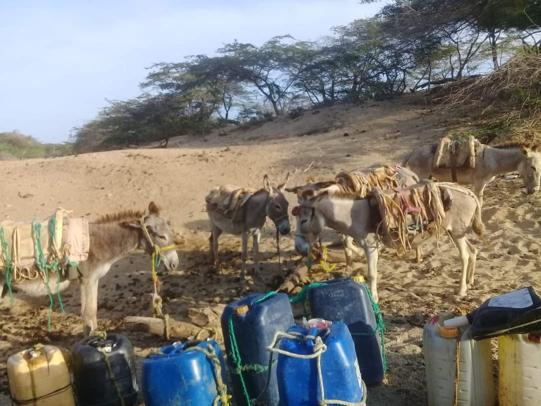 Solicita al Gobierno Nacional declarar a las comunidades indígenas en estado de emergencia social