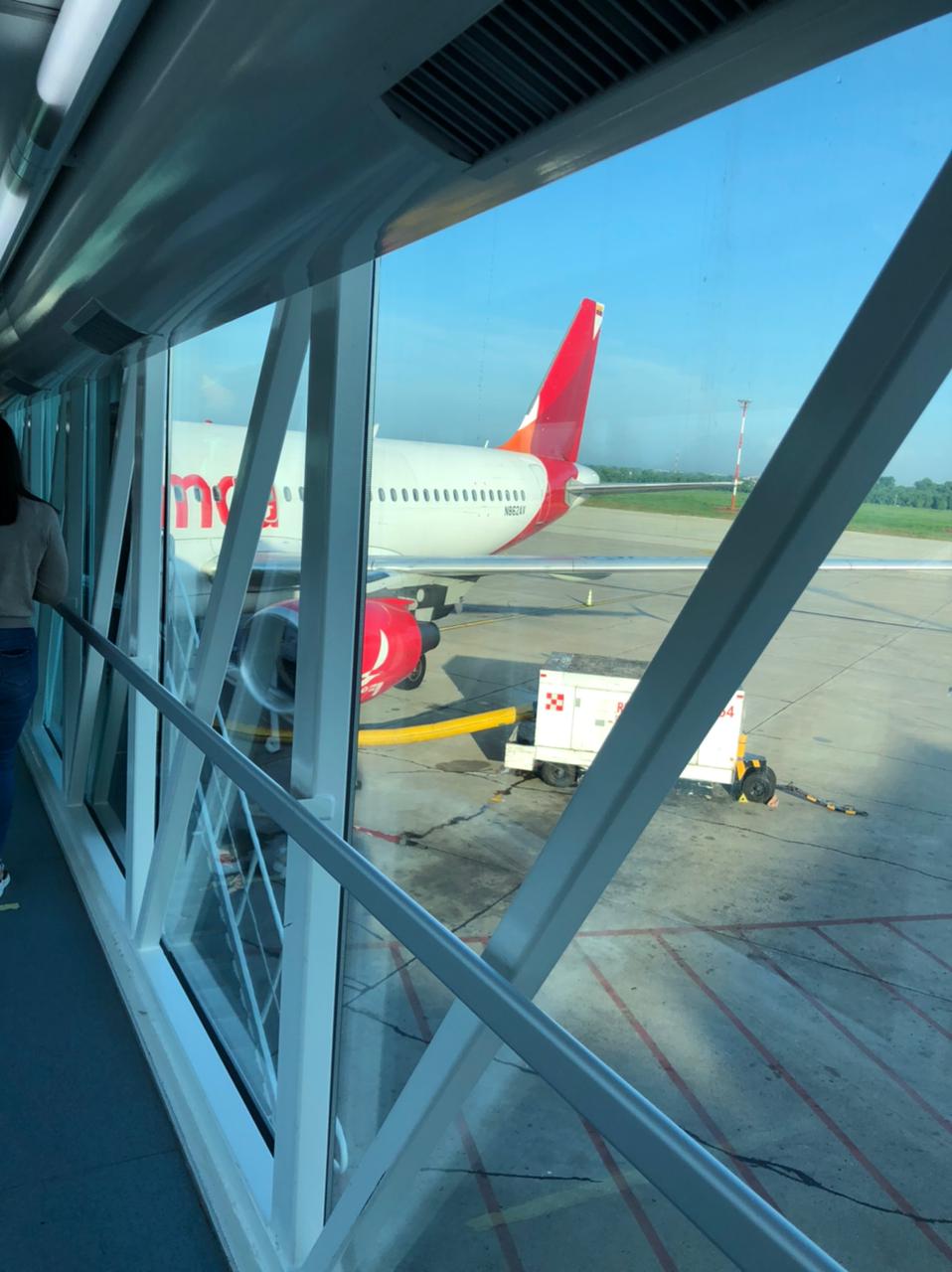 Vuelo de Avianca impactado por aves.