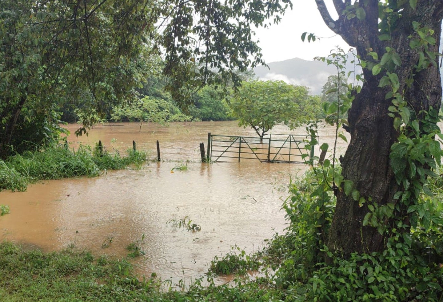 Las autoridades anunciaron que seguirán realizando visitas a las zonas afectadas.