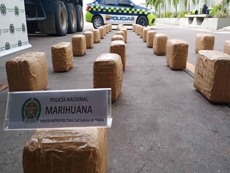 El alijo fue descubierto en una carga de azúcar que era transportada en una mula