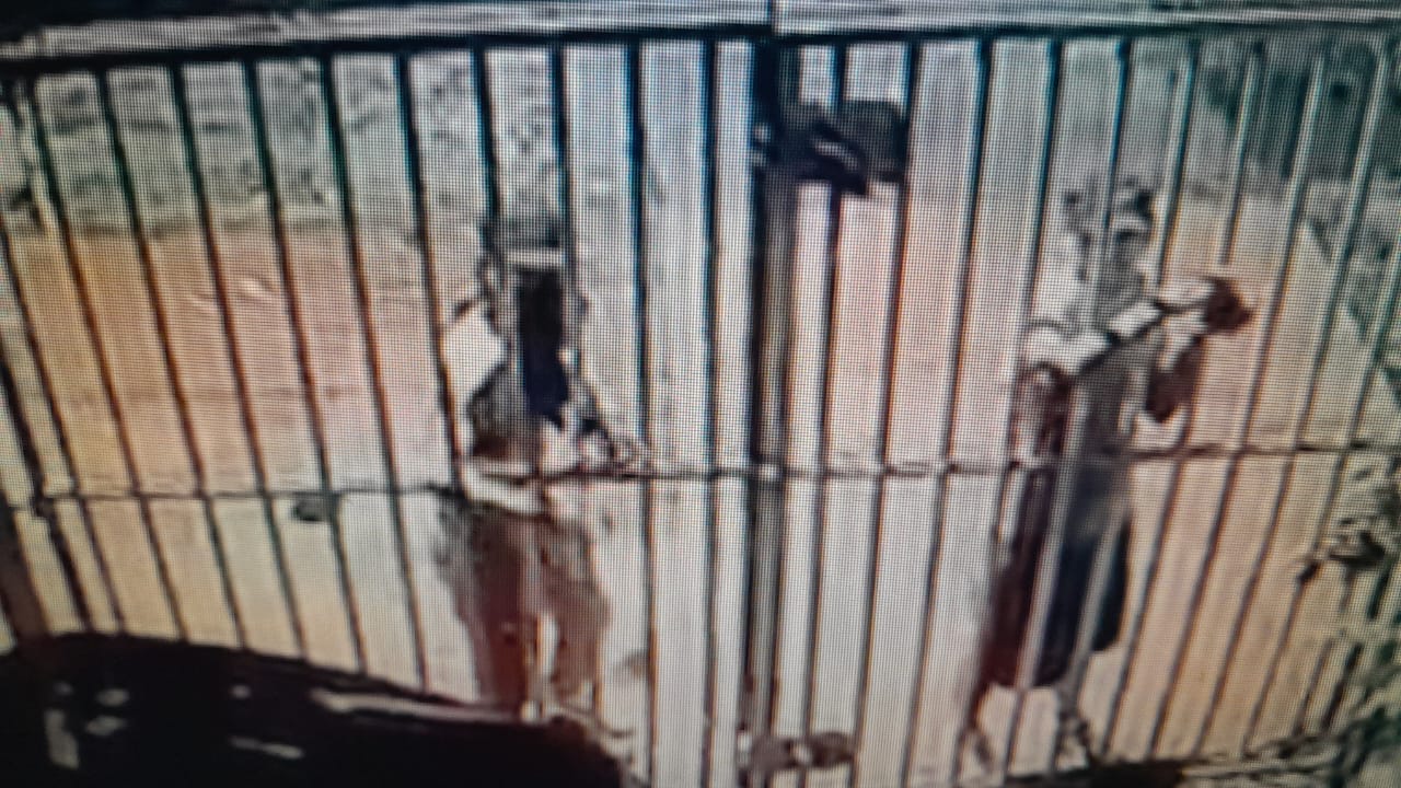 El hecho se registró en la propiedad de un aspirante a la alcaldía de Santo Tomás