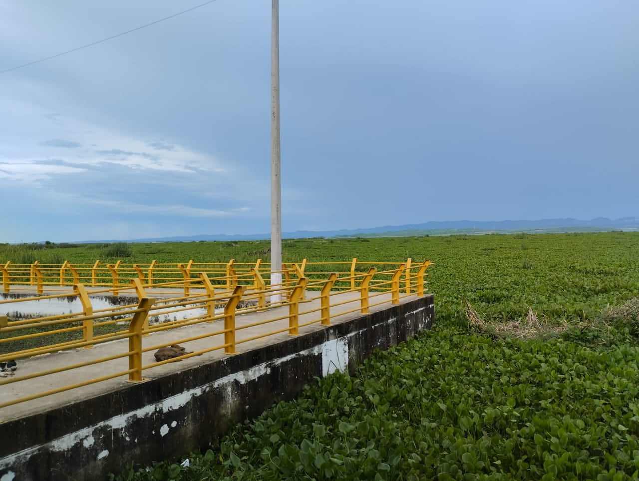 El embalse del Guájaro registra una cota de cinco metros 33 centímetros