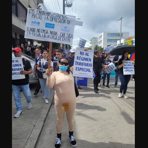 Protestas contra las tarifas de energía