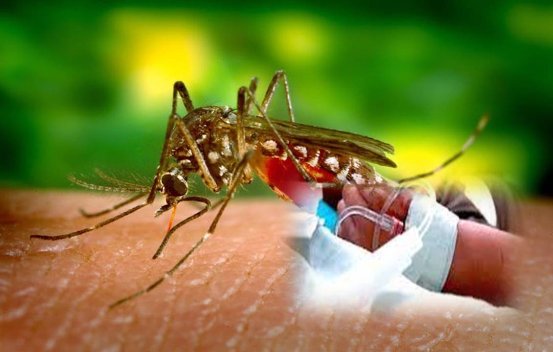 La muerte de la menor habría sido por dengue