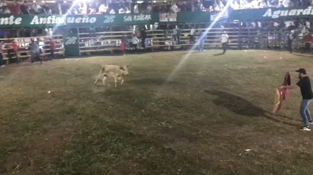 La mini corraleja está presentando vaquilla