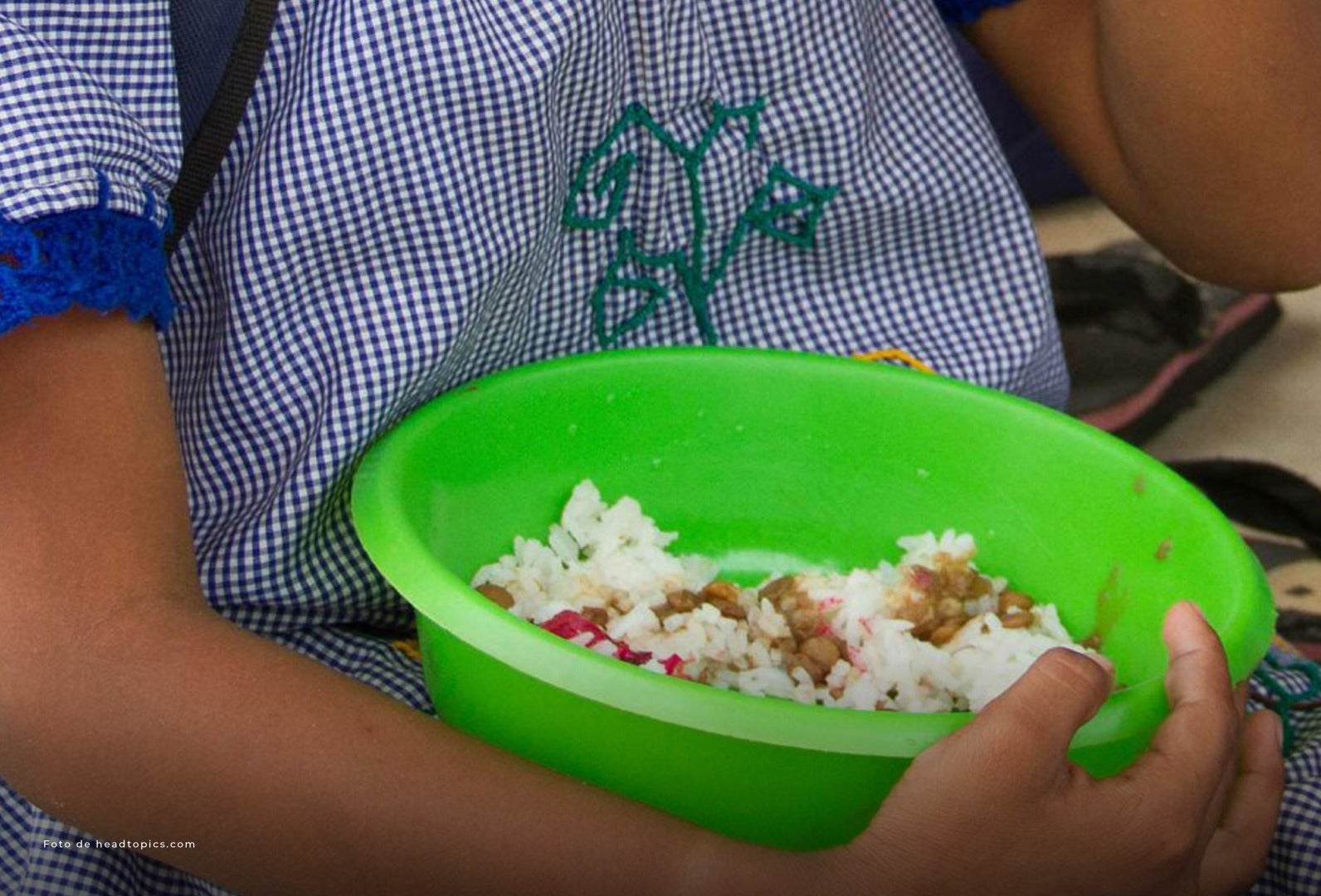 Procuraduría solicitó información a los alcaldes municipales.