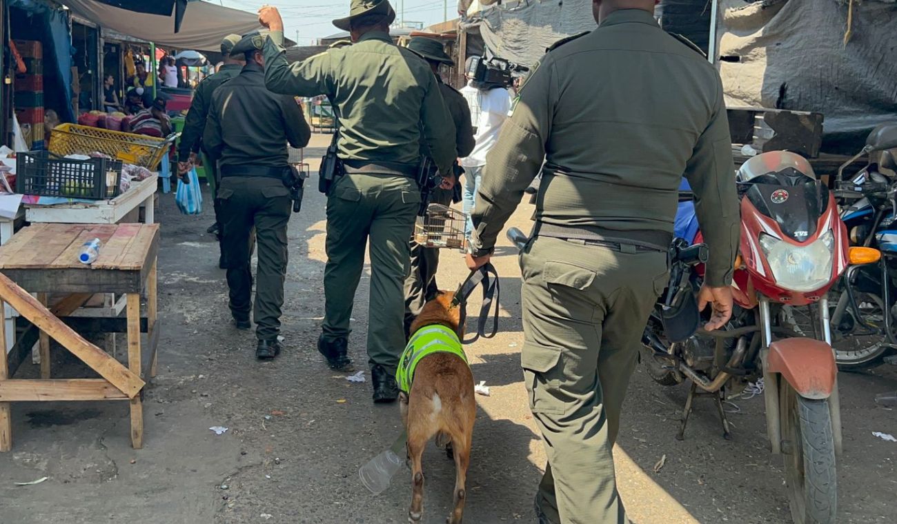 “Kalet” el perro Policía que combate el tráfico ilegal de fauna silvestre