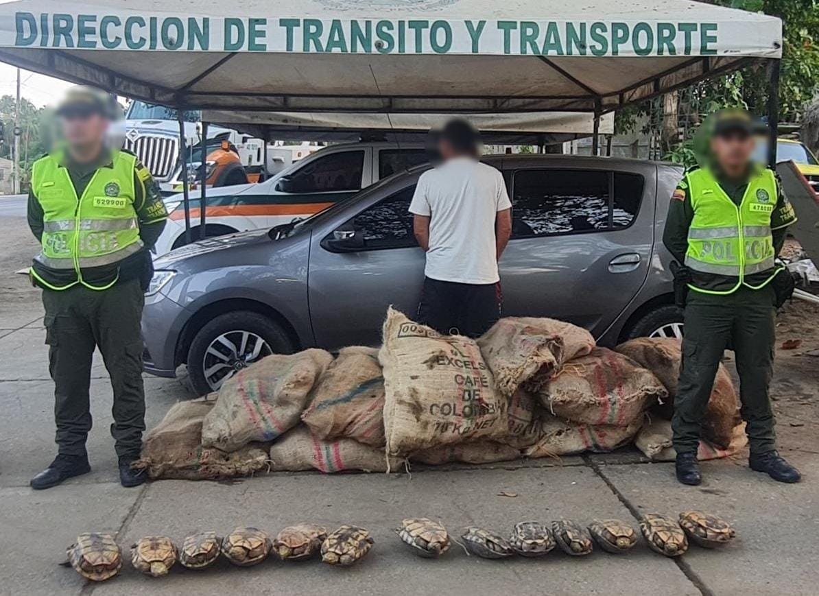 El operativo se llevó a cabo en la Y