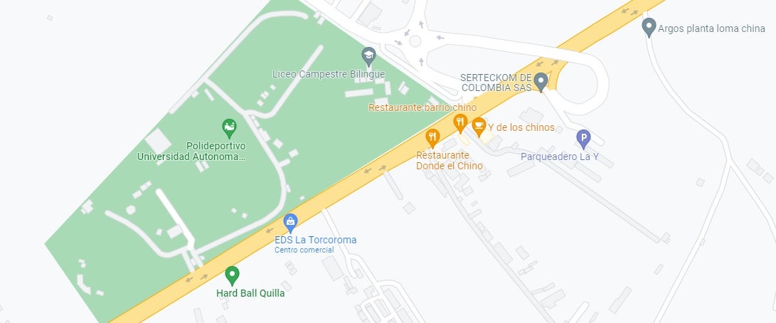 Mar de Girasoles en Puerto