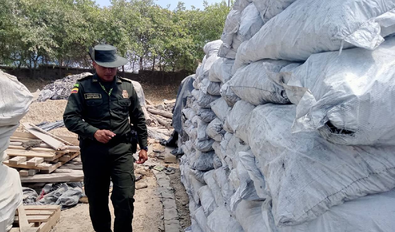Traficantes ilegales de productos de flora.