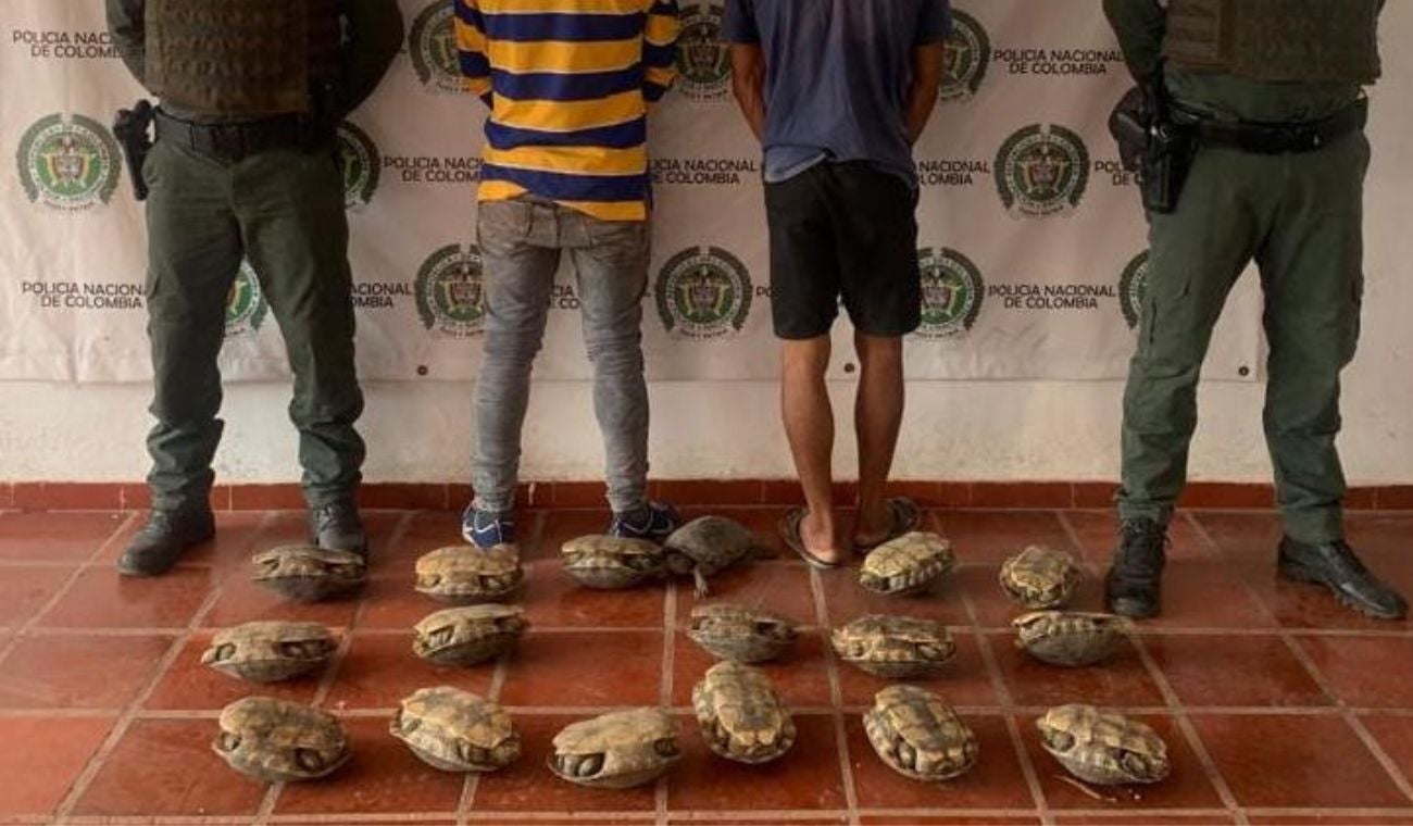 En una motocicleta en la vía que de Calamar conduce a Arroyo Hondo