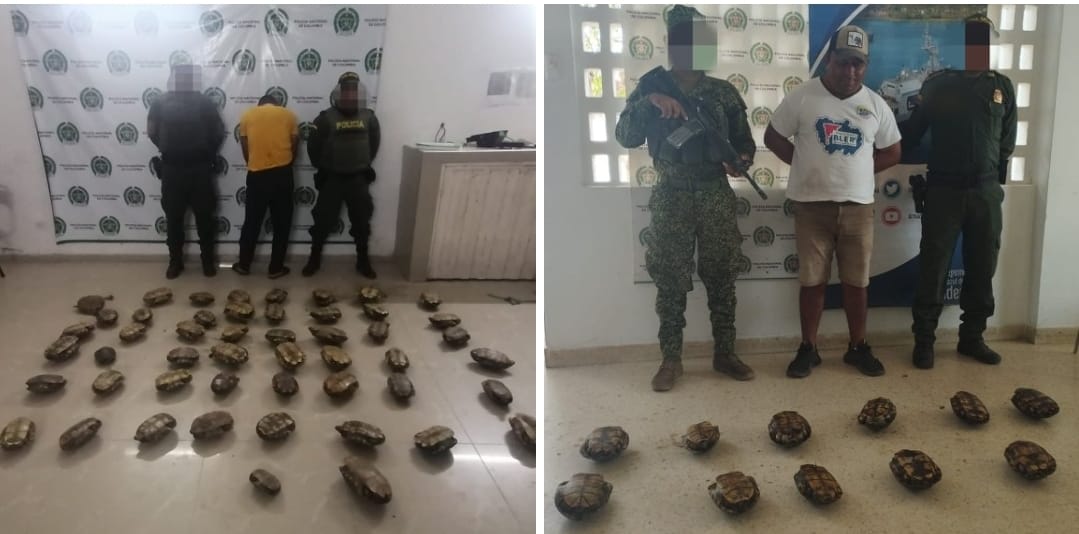 Dos personas fueron capturadas en los municipios de Corozal y Galeras