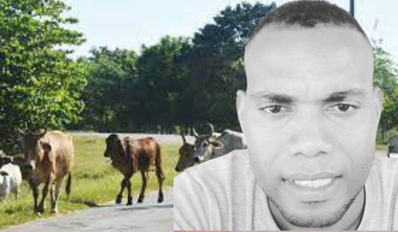 Moisés Pérez Valdés de 31 años. Fallecido