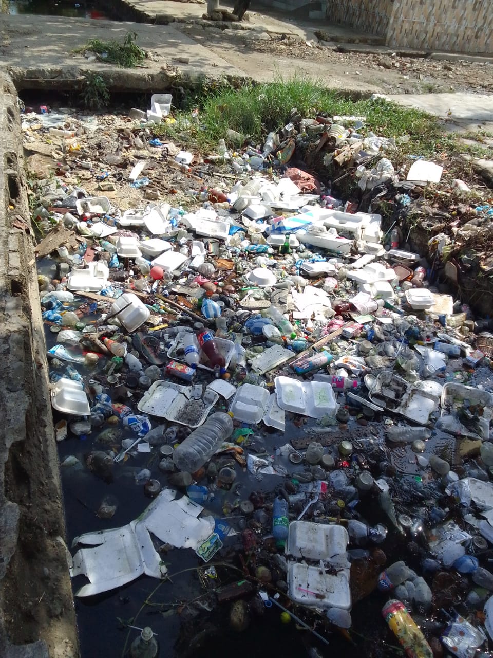 Comunidad del barrio el Líbano pide la urgente intervención y limpieza del caño de esta localidad.