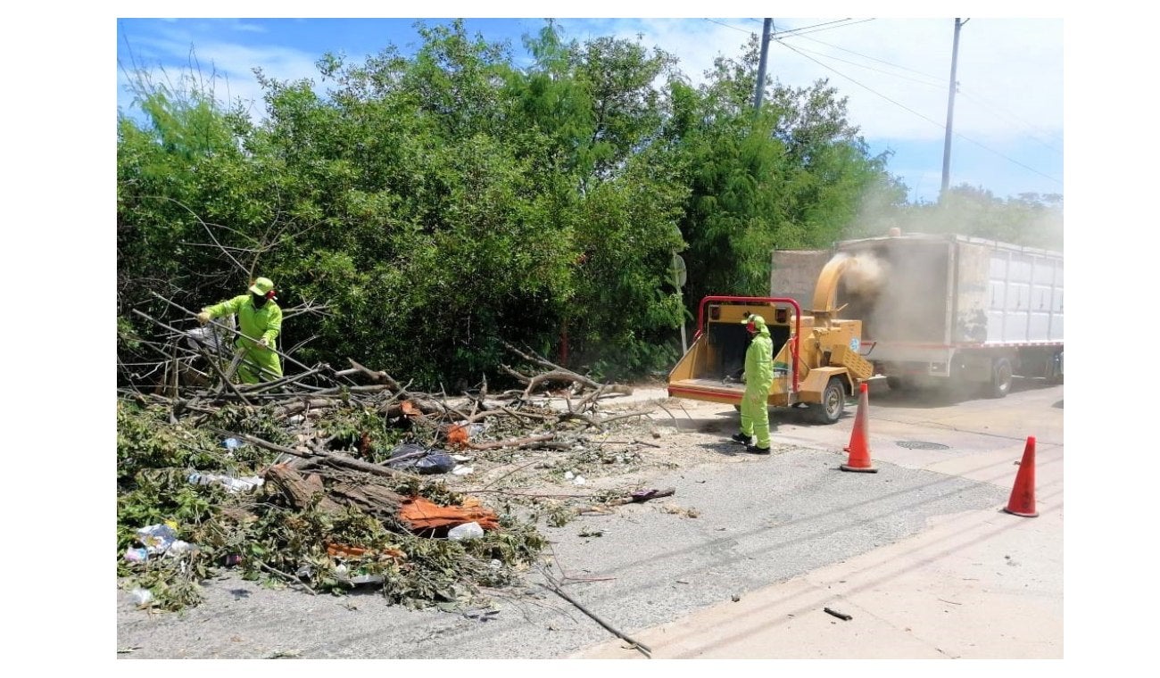 Carro recolector de Pacaribe