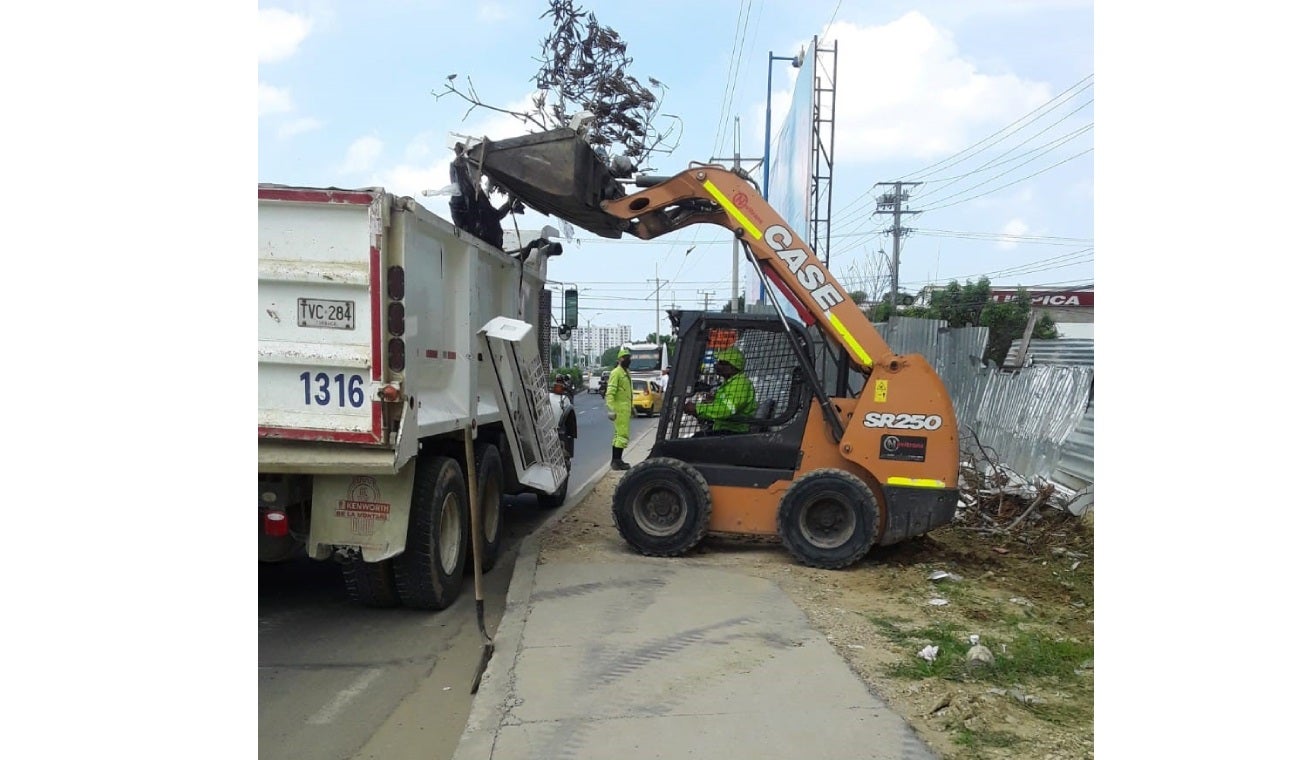 Carro recolector de Pacaribe
