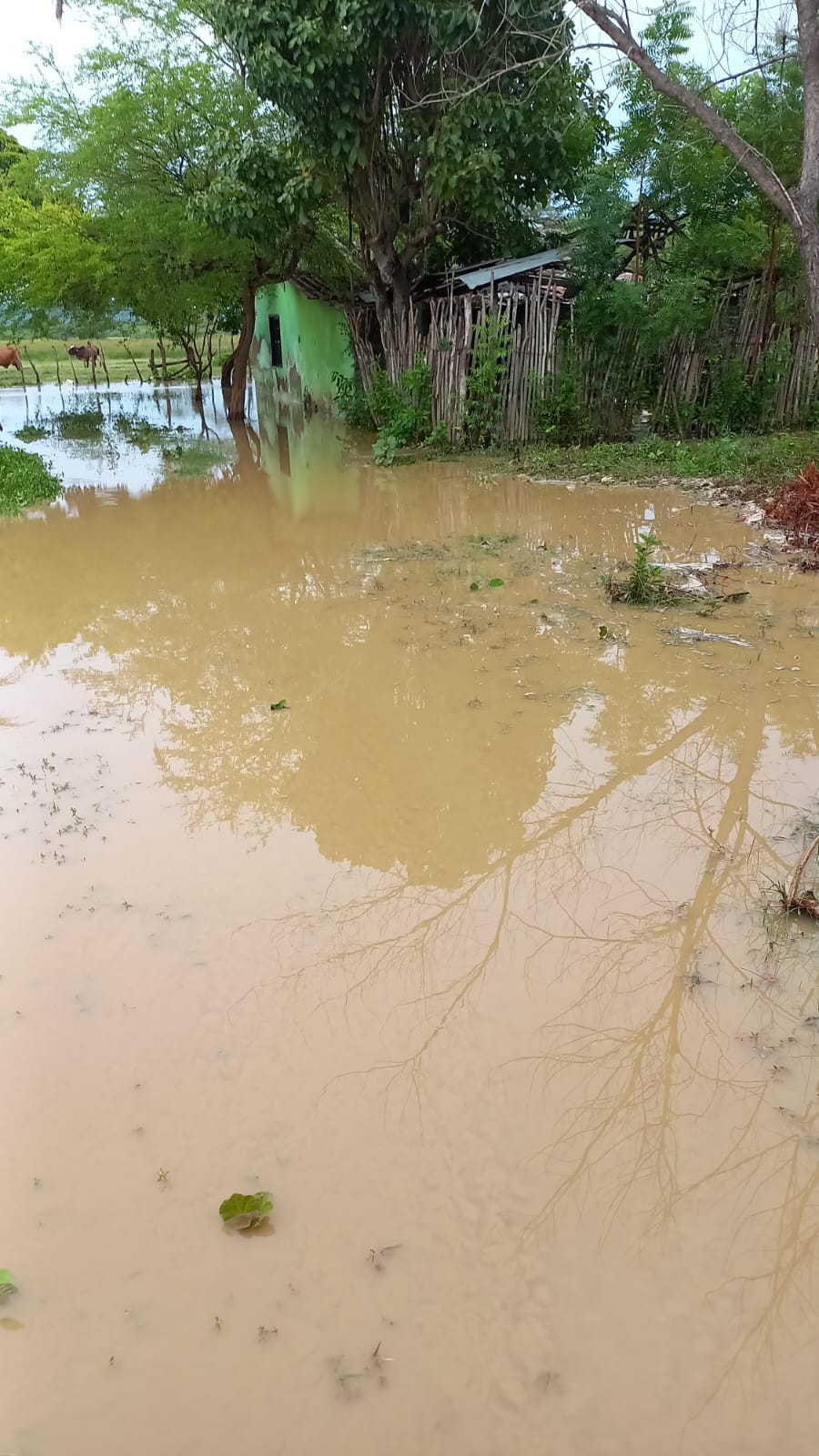 150 familias afectadas