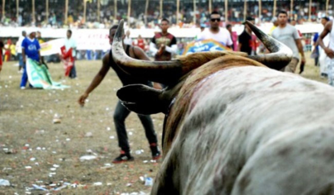 Un toro mató a un hombre