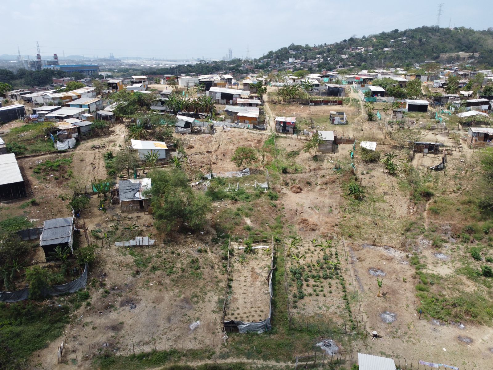 Fenómeno de 'El Niño'.