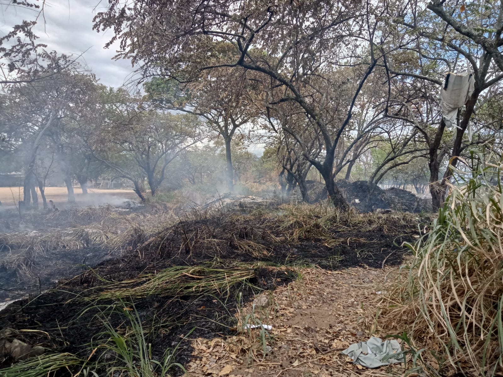 Neiva uno de los municipios más afectados por incendios forestales