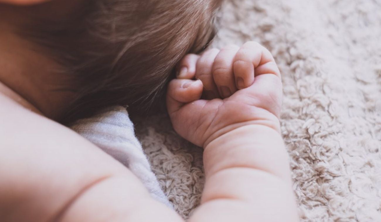 Imagen de referencia