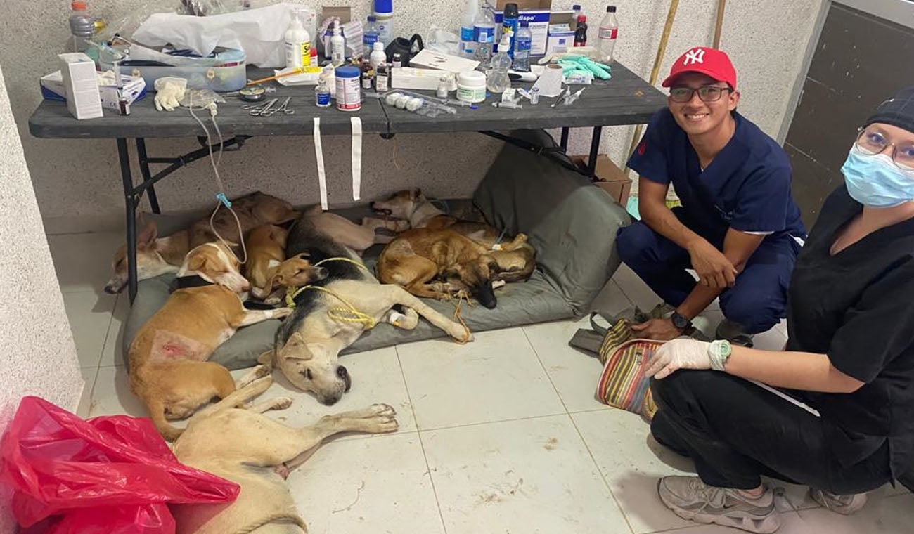 Brigadas con Propósito