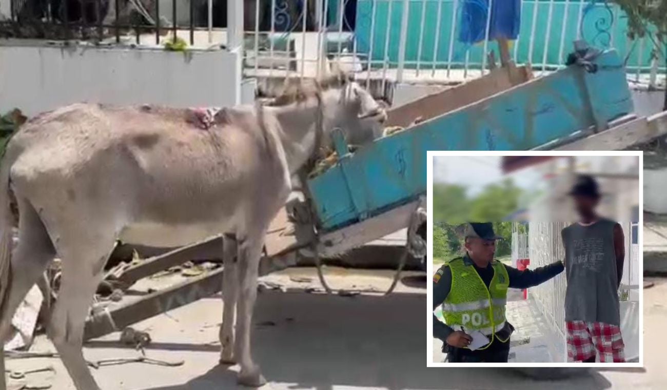 En una carreta en la que transportaba materiales para la construcción