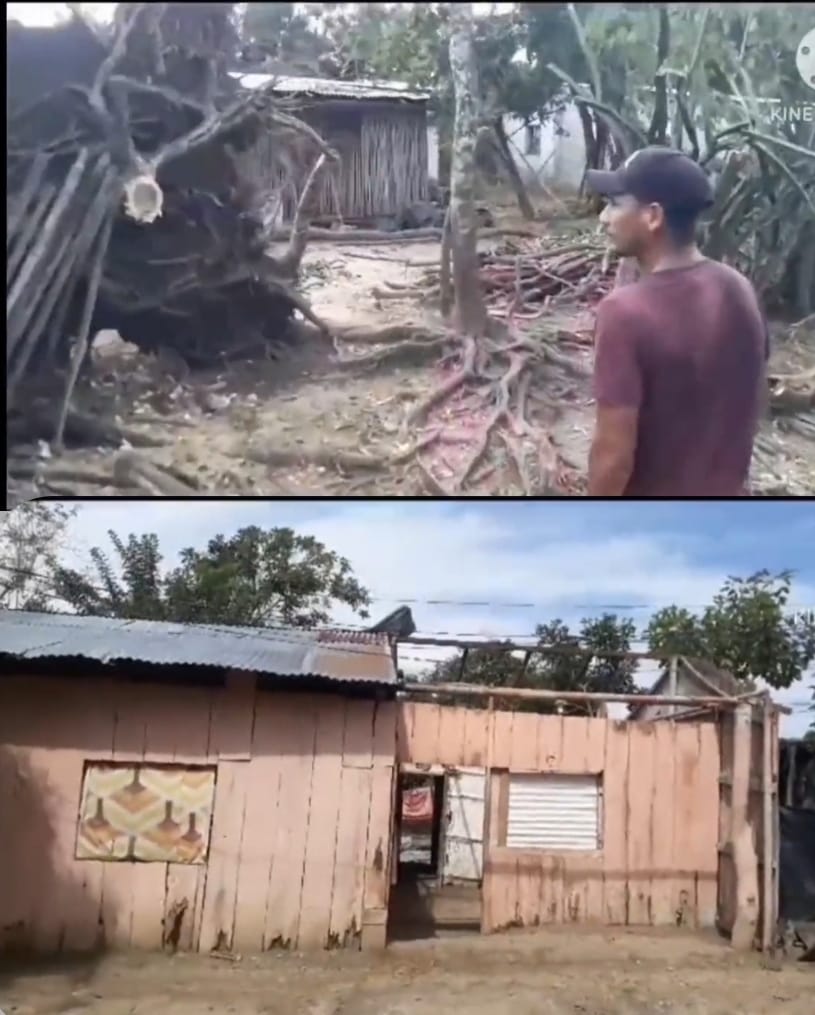 Ârboles caídos, viviendas destechadas y postes averiados dejaron las fuertes brisas