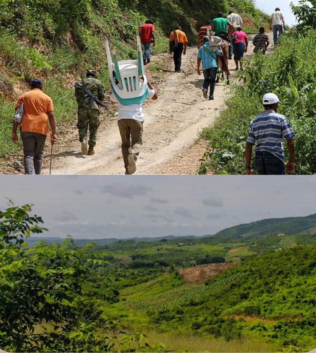 Fueron familias que debieron vender sus tierras debido al desplazamiento generado en la zona