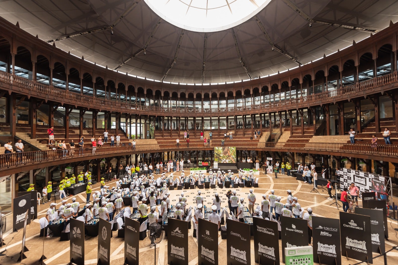 En Cartagena se cumplió el torneo Ajedrez al Parque RCN – Coosalud