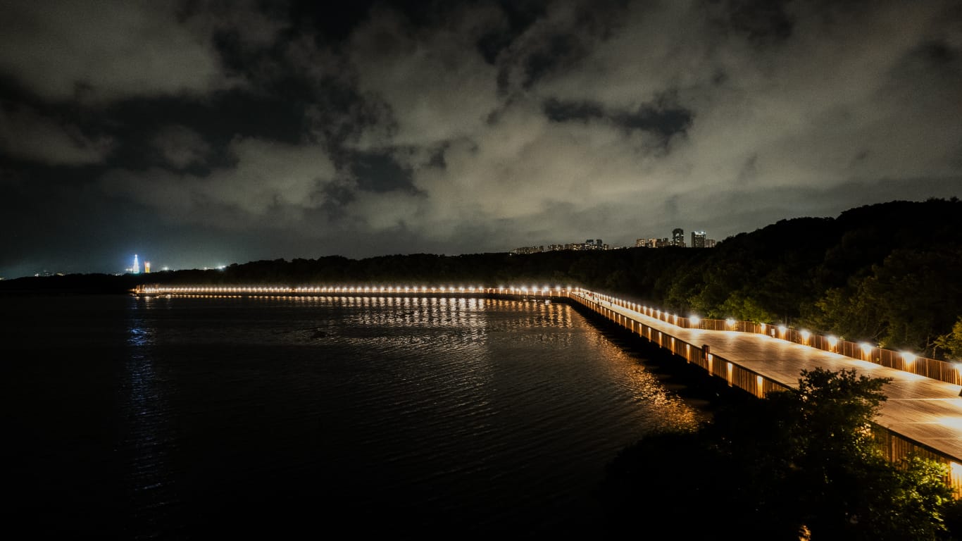 Ciénaga de Mallorquín