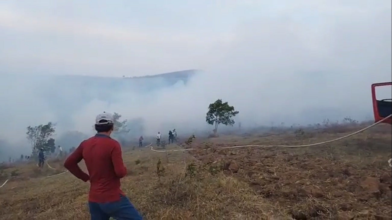 Cultivos de limón y fríjol entre otros resultaron afectados.