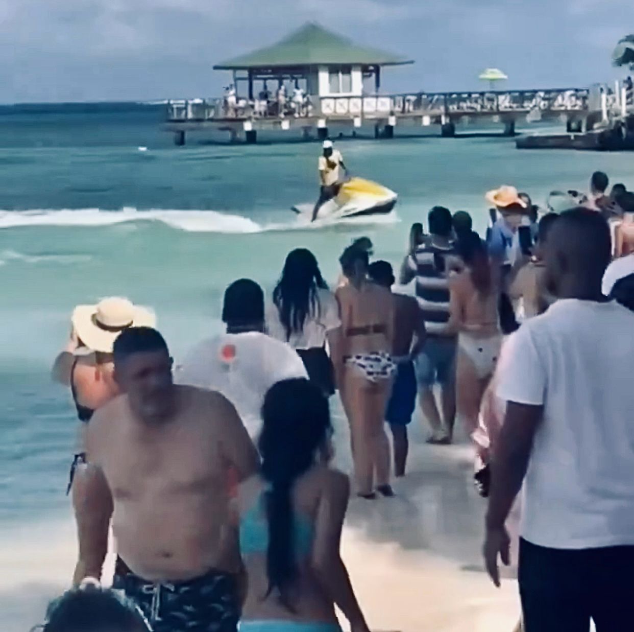 Advertencia de interacción de turistas con especies marinas en vía de extinción