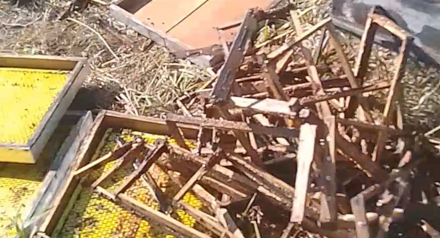 La gravedad del hecho ha dejado a la finca incapaz de recolectar miel durante el año 2024.