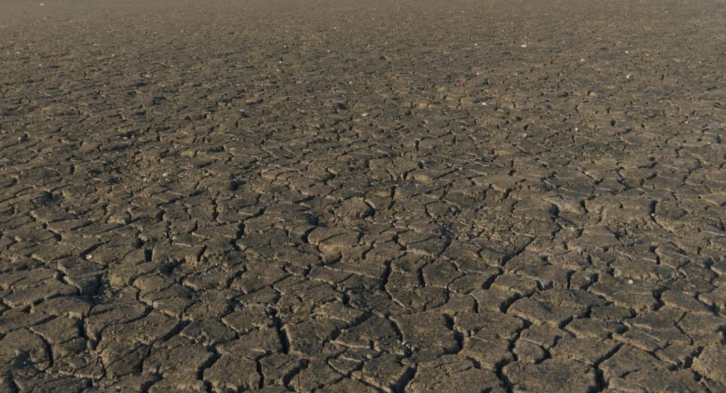 En el municipio de Gamarra, por ejemplo, 800 pescadores se encuentran preocupados por la desaparición de más de 1.000 hectáreas de agua en la ciénaga.