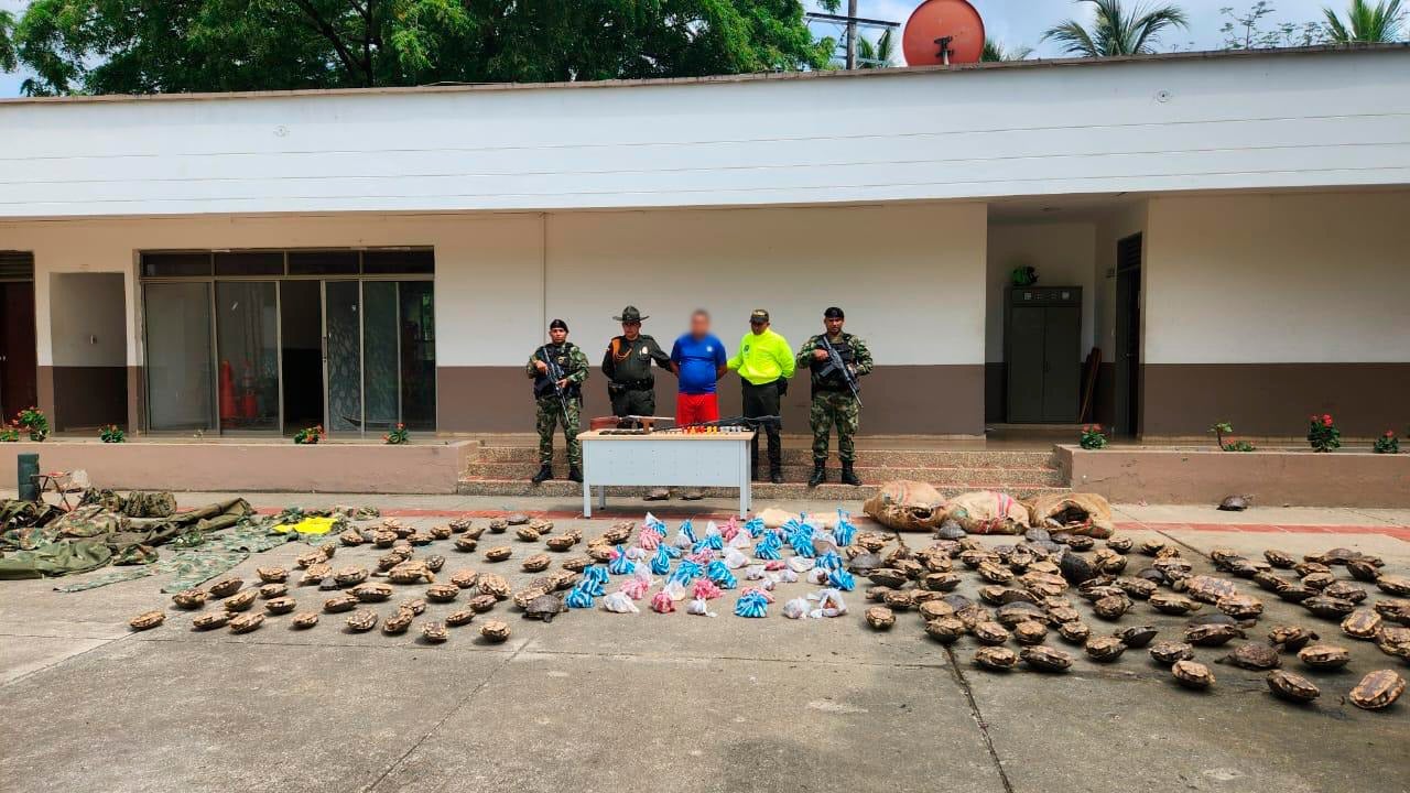 El operativo se cumplió en San Pelayo