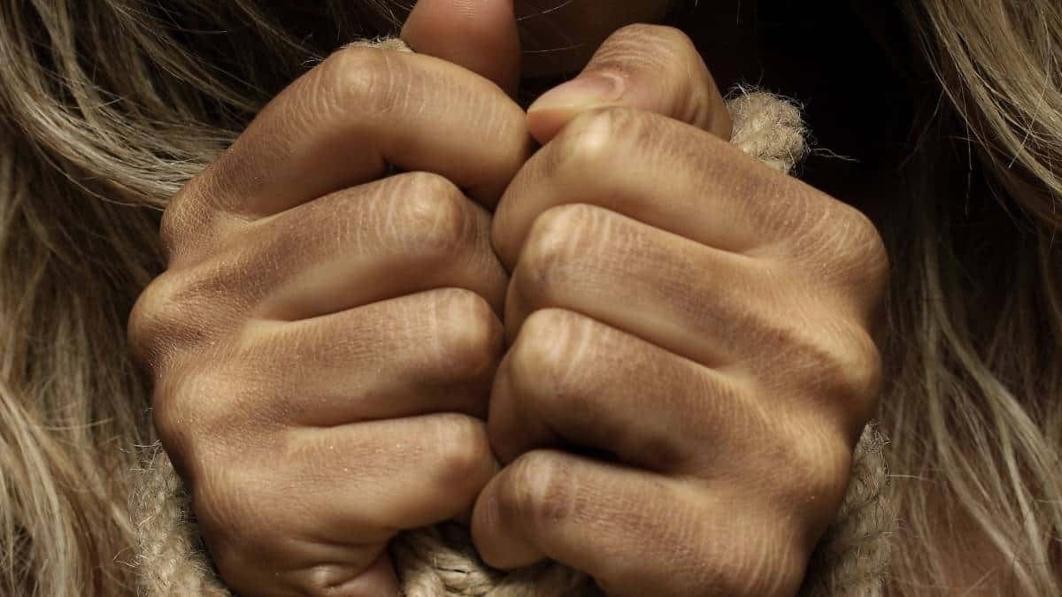 Imagen de referencia